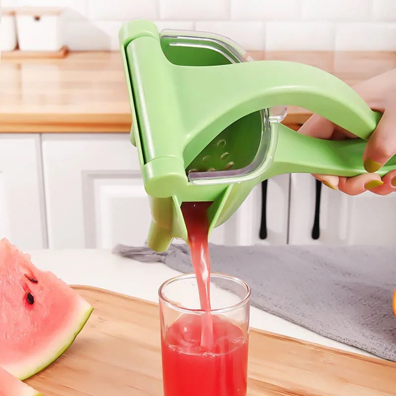 Manual Fruit Juicer